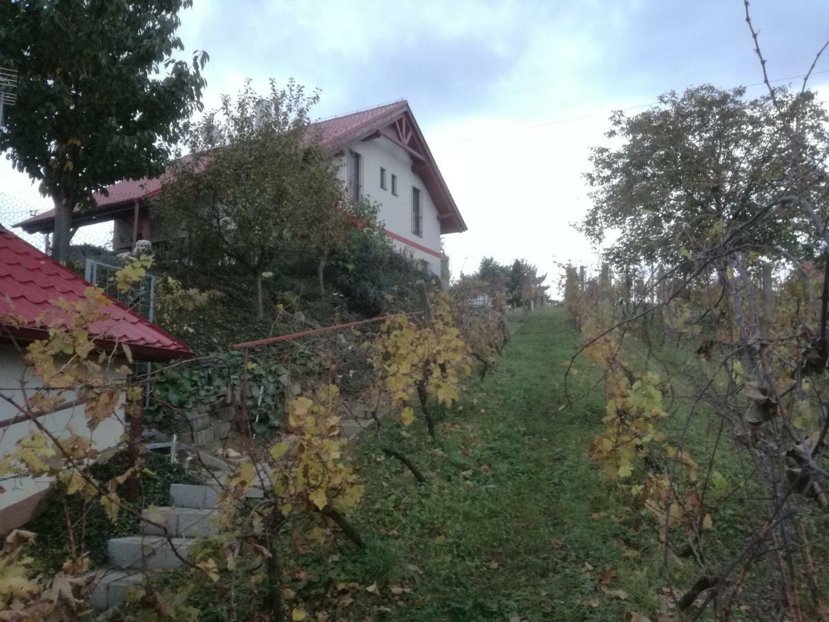 Nad Jezerem Guest house Pavlov